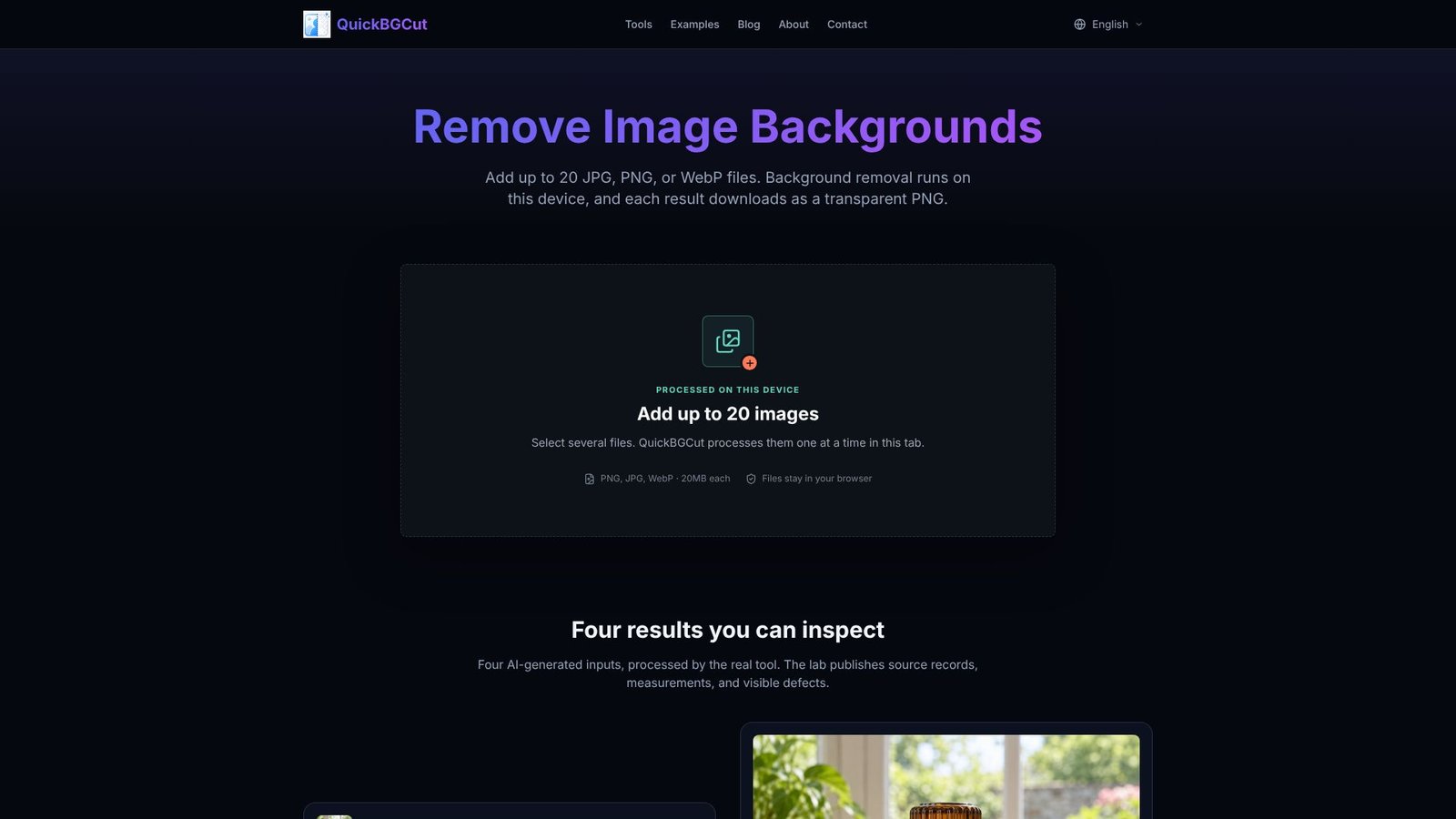 QuickBGCut Screenshot