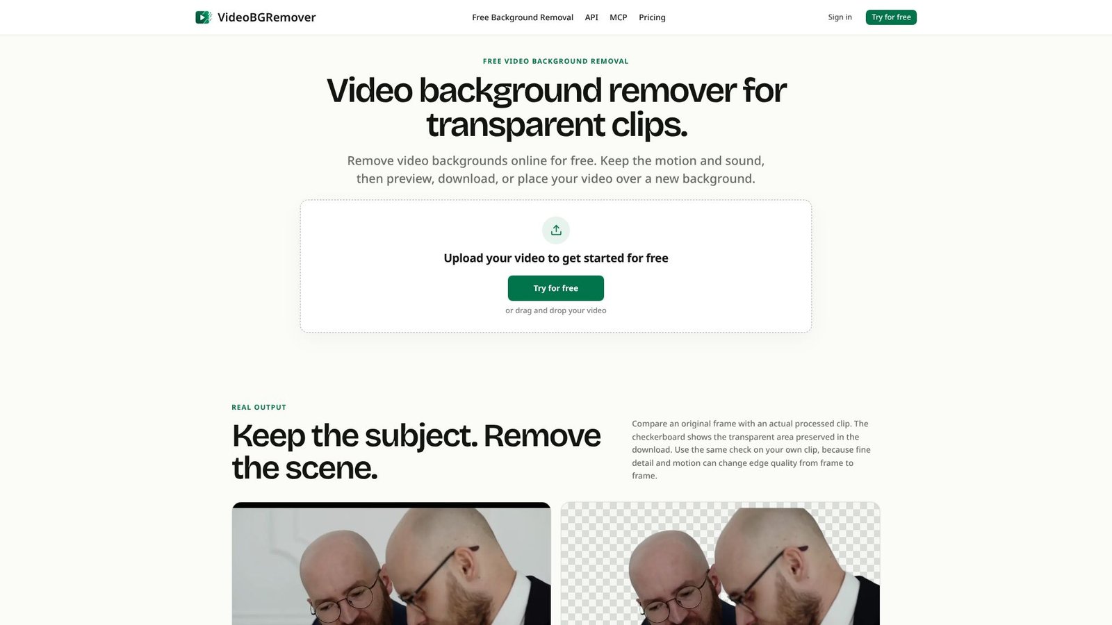 VideoBGRemover Screenshot