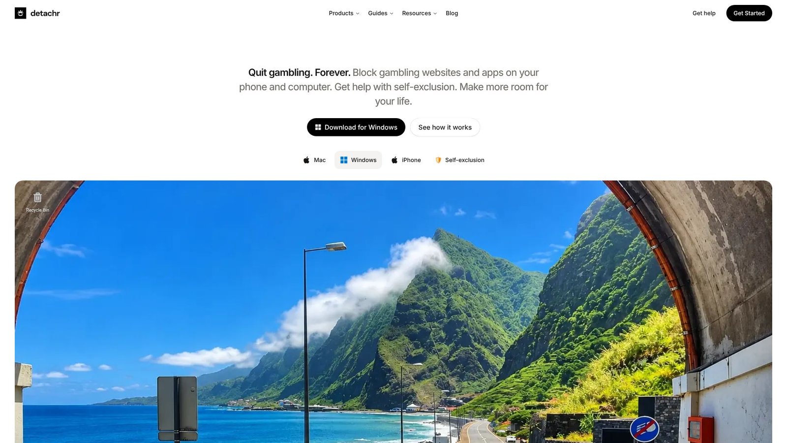 Screenshot: Detachr